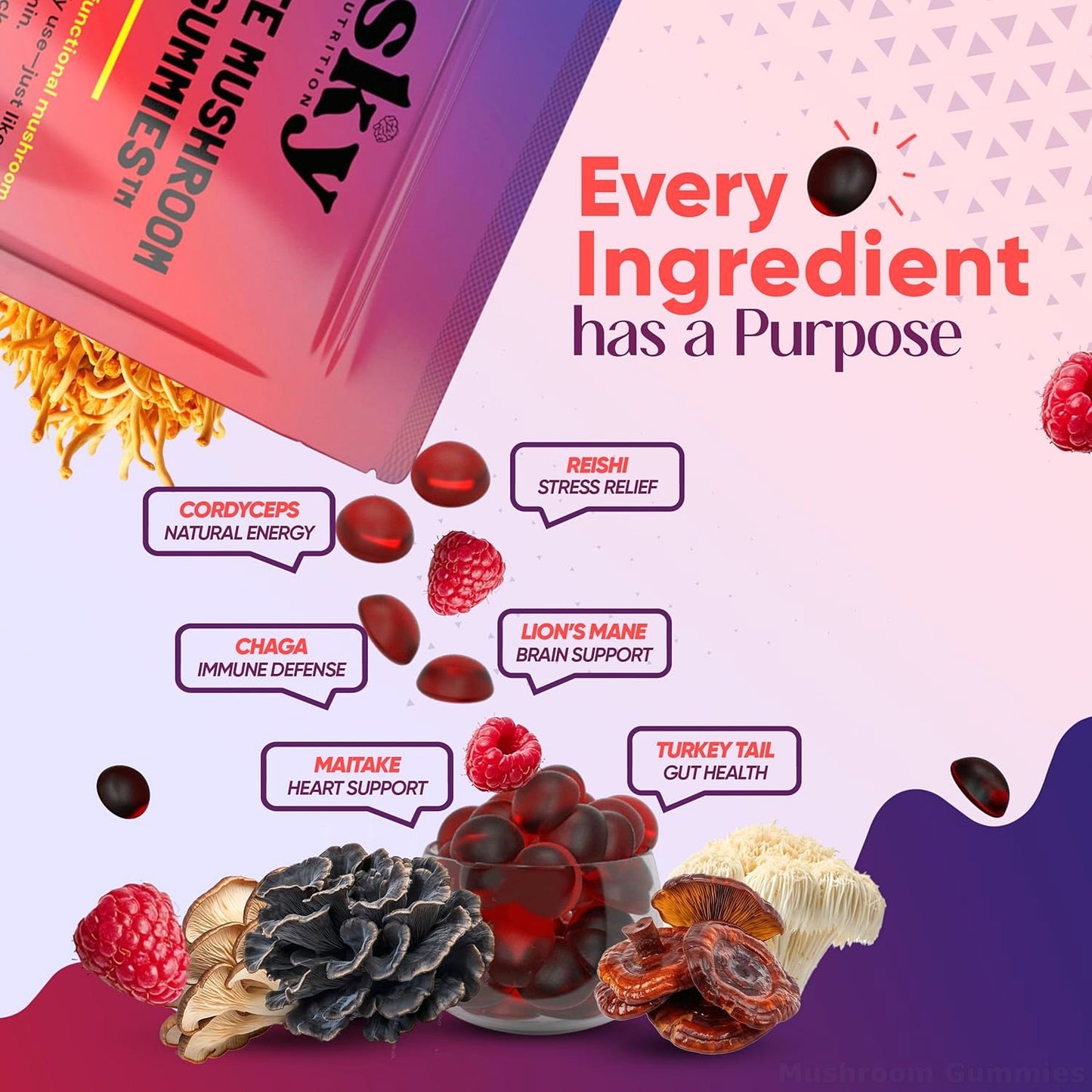 Mushroom Gummies - 10-in-1 Advanced Complex w/Lions Mane, Reishi, Cordyceps,  Turkey Tail - Focus & Brain Support - Raspberry Flavored 60 Vegan Lions Mane  Mushroom Gummies for Adults